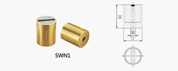 SWN1